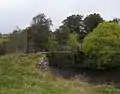 Swinging Bridge Over River Isla