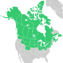 Symphyotrichum boreale native distribution map: Canada — Alberta, British Columbia, Manitoba, New Brunswick, Newfoundland, Northwest Territories, Nova Scotia, Nunavut, Ontario, Prince Edward Island, Québec, Saskatchewan, and Yukon; US — Alaska, Colorado, Idaho, Illinois, Indiana, Iowa, Massachusetts, Michigan, Minnesota, Montana, Nebraska, New Hampshire, New Jersey, New York, North Dakota, Ohio, Pennsylvania, South Dakota, Vermont, Washington, West Virginia, Wisconsin, and Wyoming.