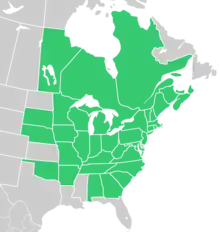 Symphyotrichum cordifolium native distribution: Canada — Manitoba, New Brunswick, Nova Scotia, Ontario, Prince Edward Island, and Québec; US — Alabama, Arkansas, Connecticut, District of Columbia, Georgia, Illinois, Indiana, Iowa, Kentucky, Maine, Maryland, Massachusetts, Michigan, Minnesota, Missouri, Nebraska, New Hampshire, New Jersey, New York, North Carolina, Ohio, Oklahoma, Pennsylvania, Rhode Island, South Carolina, South Dakota, Tennessee, Vermont, Virginia, West Virginia, and Wisconsin.