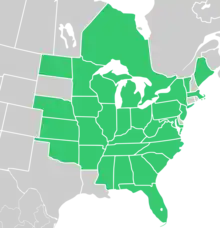 Symphyotrichum urophyllum native distribution map: Canada — Ontario; US — Alabama, Arkansas, Florida, Georgia, Illinois, Indiana, Iowa, Kansas, Kentucky, Maine, Maryland, Massachusetts, Michigan, Minnesota, Mississippi, Missouri, Nebraska, New Jersey, New York, North Carolina, North Dakota, Ohio, Oklahoma, Pennsylvania, South Carolina, Tennessee, Vermont, Virginia, West Virginia, and Wisconsin.