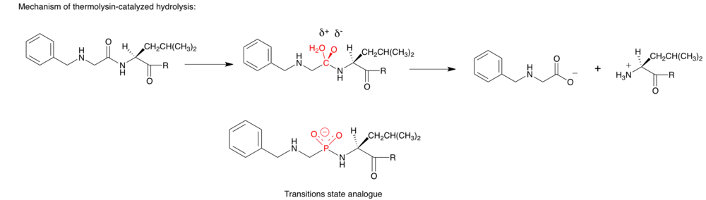 Transitions state analogue example 2