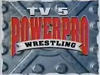 Power Pro Wrestling logo