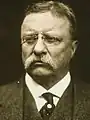 Former PresidentTheodore Rooseveltof New York(Withdrawn during 3rd Ballot)