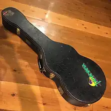 Takanaka Guitar Case