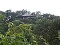 Mountaintop home and tropical foliage, Tantalus Drive