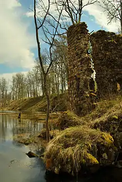 Ruins of Tarvastu Castle