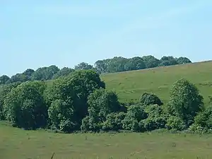 Looking south-west to Tenants Hill