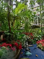 A view of the plants, flowers, water fountains, and al fresco dining at The Oasis