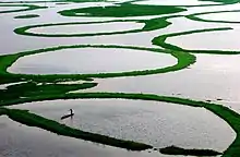 Loktak Lake