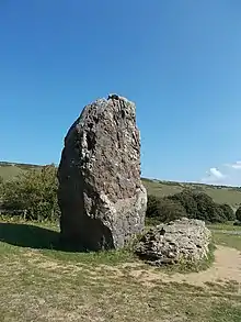 Photo of the Longstone