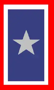 The_Silver_Star_Service_Banner.jpg