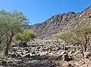 The lower reaches of the Wadi Ejili watercourse