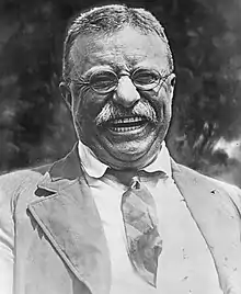 Image 14Theodore Roosevelt (from History of New York (state))