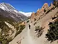 On the way to Tilicho Lake Khangsar