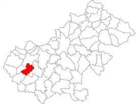 Location in Satu Mare County