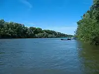 Tisza river near Tiszapüspöki