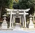 Torii gates leading to steps