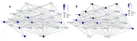 Image 51Topological positions versus mobility: (A) bottom-up groups (sessile and drifters), (B) groups at the top of the food web. Phyto, phytoplankton; MacroAlga, macroalgae; Proto, pelagic protozoa; Crus, Crustacea; PelBact, pelagic bacteria; Echino, Echinoderms; Amph, Amphipods; HerbFish, herbivorous fish; Zoopl, zooplankton; SuspFeed, suspension feeders; Polych, polychaetes; Mugil, Mugilidae; Gastropod, gastropods; Blenny, omnivorous blennies; Decapod, decapods; Dpunt, Diplodus puntazzo; Macropl, macroplankton; PlFish, planktivorous fish; Cephalopod, cephalopods; Mcarni, macrocarnivorous fish; Pisc, piscivorous fish; Bird, seabirds; InvFeed1 through InvFeed4, benthic invertebrate feeders. (from Marine food web)