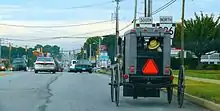 Horsedrawn grey buggy in multilane auto traffic, with rearview mirrors, directional signals, lights, and reflectors