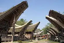 A village of tongkonan, the house of Toraja people, Sulawesi, Indonesia