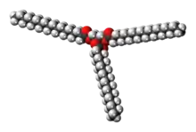 Space-filling model of the tristearin molecule