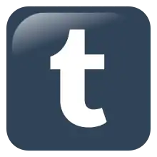 The tumblr logo: a lowercase t on a navy blue background