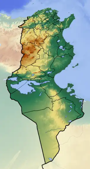 Battle of the Bagradas (49 BC) is located in Tunisia