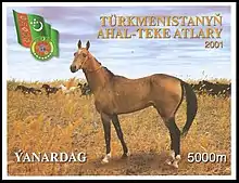 Turkmenistan (2001): Miniature sheet (Yanardag)