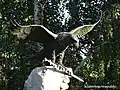 Turul bird, Millenium memorial in Berekfürdő, Hungary (2001)