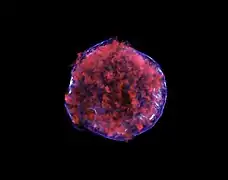 Tycho Supernova remnant in X-ray light.