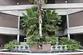 Fountain in front of JJ Daniel Hall