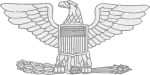 Insignia of Colonel, United States Army