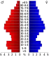 2000 Census Age Pyramid