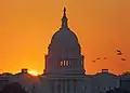 United States Capitol Dome, Sunrise