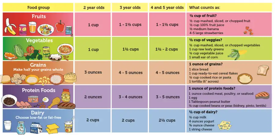 US Department of Agriculture Nutrition Guidelines