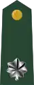 Lieutenant colonel