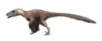 Utahraptor ostrommaysorum