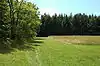 A mowed field in the center, an unmowed field at right, woods at left and in the background