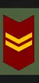 Cabo primero(Venezuelan Army)