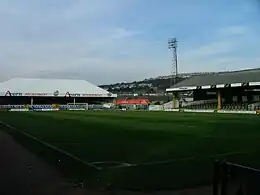 Vetch Field