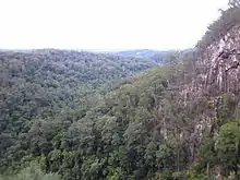 View at Minyon Falls, Nightcap NP