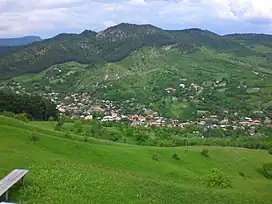 View of Brăești village