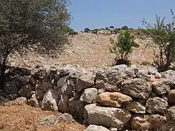 Ruins of Jarash