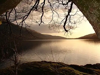 Image 43Loch Lomond in Scotland forms a relatively isolated ecosystem. The fish community of this lake has remained stable over a long period until a number of introductions in the 1970s restructured its food web. (from Ecosystem)