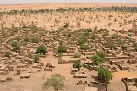 Environmental migration. Sparser rainfall leads to desertification that harms agriculture and can displace populations. Shown: Telly, Mali (2008).