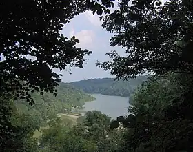 Lake through trees