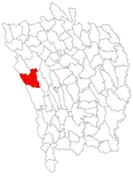 Location in Vaslui County