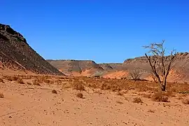 Wadi Hamra