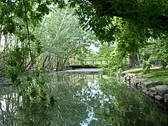 Stream in Zoo Boise.