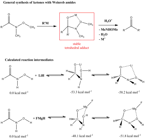 Weinreb ketone synthesis and tetrahedral intermediate stability